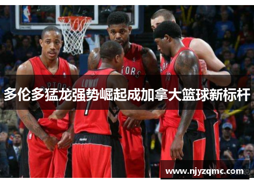 多伦多猛龙强势崛起成加拿大篮球新标杆