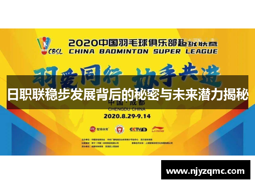日职联稳步发展背后的秘密与未来潜力揭秘